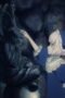 Nonton Film GHOST CONCERT : missing Songs Season 1 Episode 4 Sub Indo