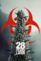 Nonton Film 28 Years Later Sub Indo
