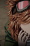 Nonton Fist of the North Star: HOKUTO NO KEN Season 1 Season 1 Episode 8 Sub Indo