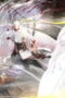 Nonton The Demon Hunter Season 3 Season 3 Episode 10 Sub Indo
