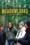 Nonton Film Meadowlarks Sub Indo