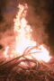 Nonton Outlast: The Jungle Season 1 Season 1 Episode 6 Sub Indo