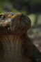 Nonton Surviving Earth Season 1 Season 1 Episode 2 Sub Indo