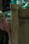 Nonton Lucky Season 1 Season 1 Episode 2 Sub Indo